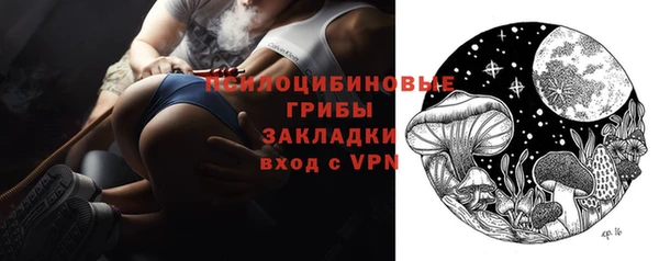 гидра Белоозёрский