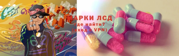 гидра Белоозёрский