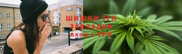 гидра Белоозёрский