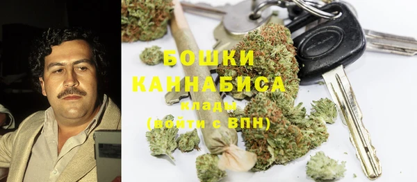гидра Белоозёрский