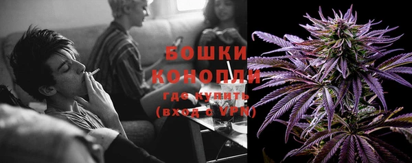гидра Белоозёрский