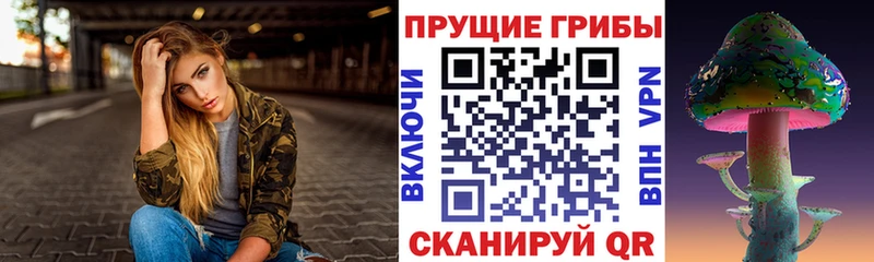 что такое наркотик  Валуйки  Галлюциногенные грибы Cubensis 
