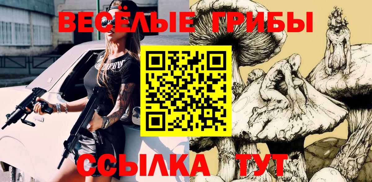 Псилоцибиновые грибы Cubensis Валуйки